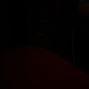 4T pajamas and rooster